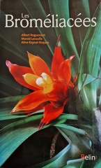 Bromelia