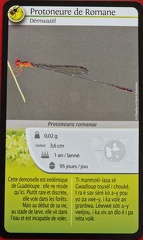  Defis-Nature-Guadeloupe-2