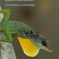 Wildlife Eastern Caribbean