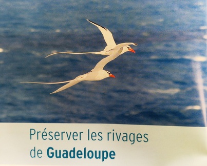 GuadeloupeEntreTerreEtMer-1