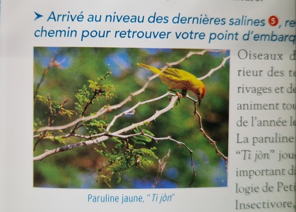 GuadeloupeEntreTerreEtMer-6