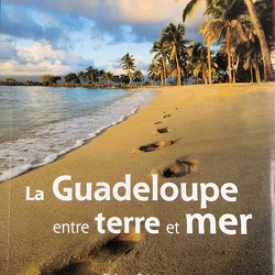 Publications