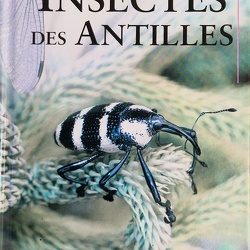 Publications