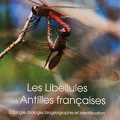 LibellulesAF-1