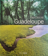PrecieuseGuadeloupe
