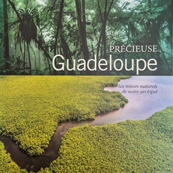 P-Guadeloupe