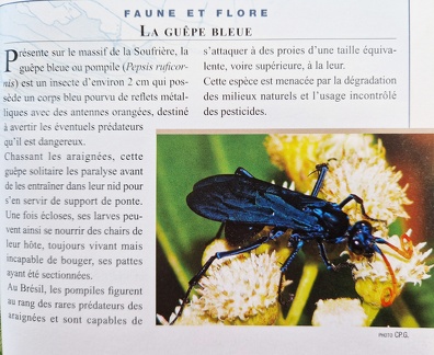 TopoGuideGuadeloupe-4